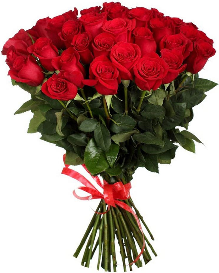 Красные розы Голландия Красные розы Голландия